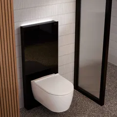 Geberit Monolith WC
