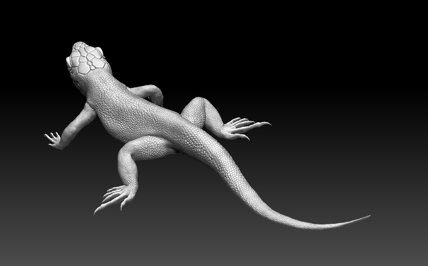 lizard — miniatura 12