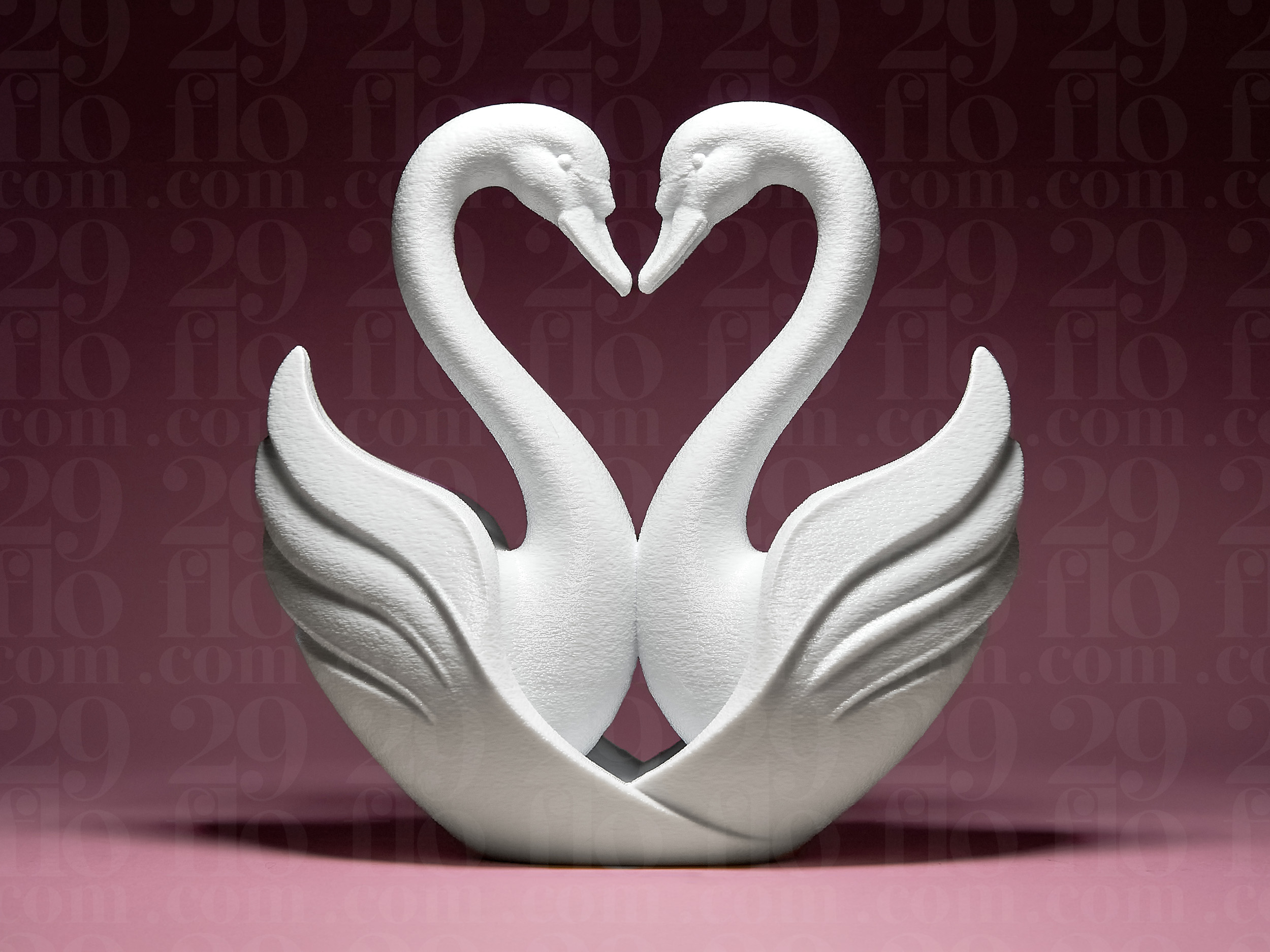 Heart of Swans