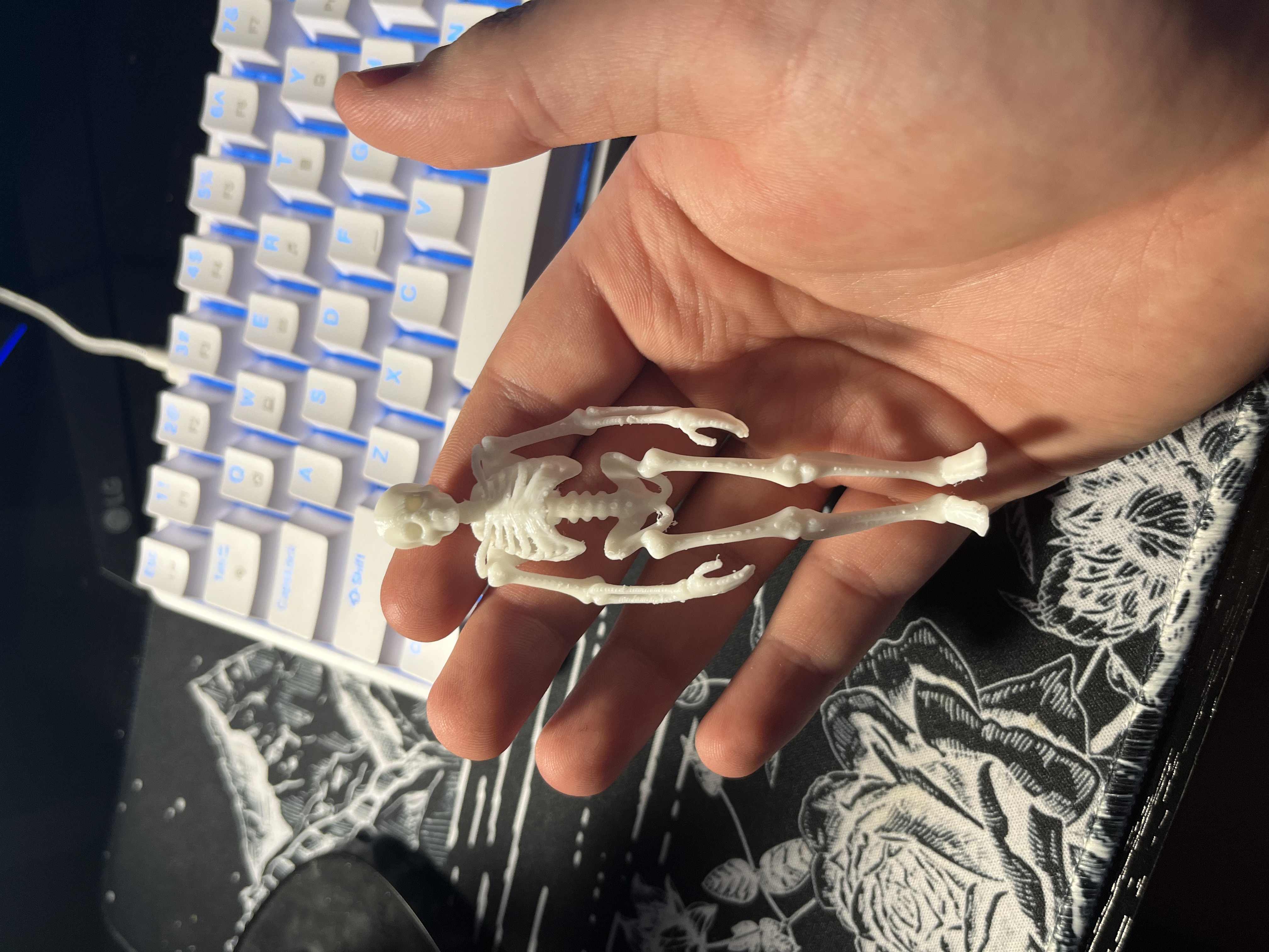 Skeleton