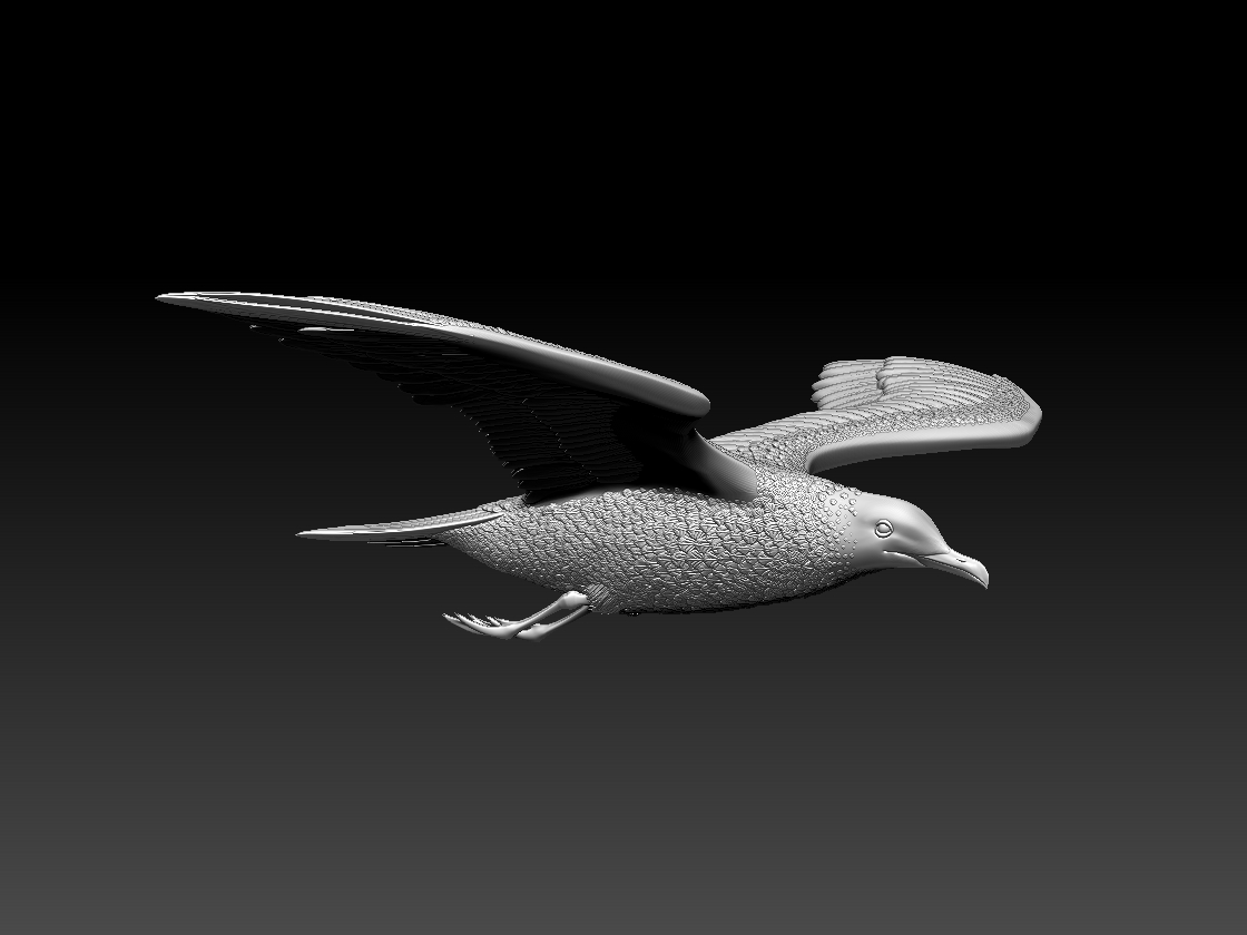 seagull — miniatura 2
