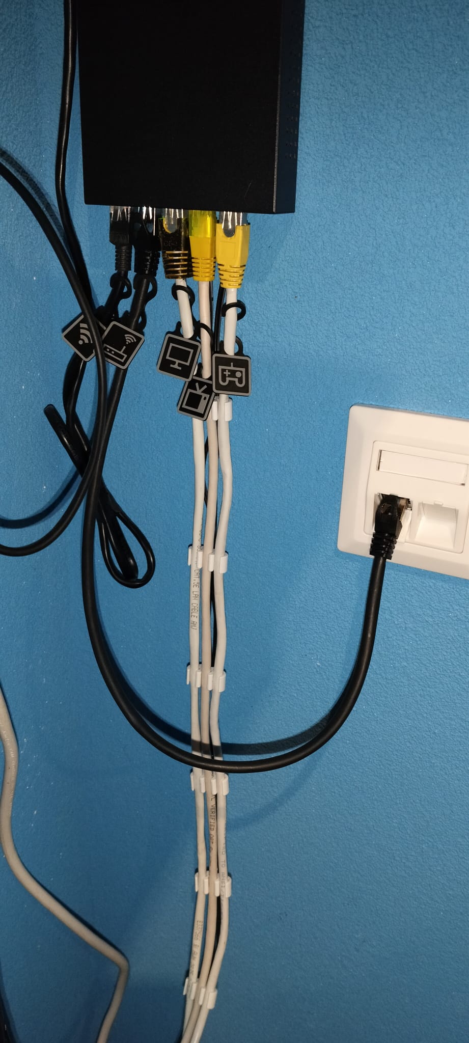 ethernet cable clip