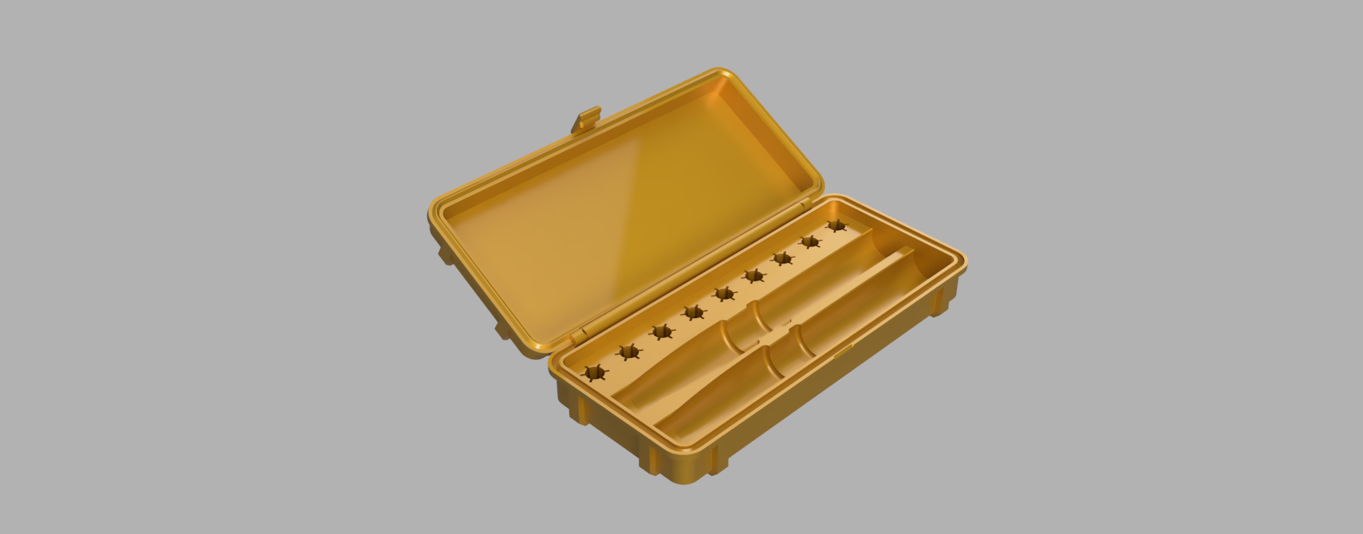 Ozempic Travel Case