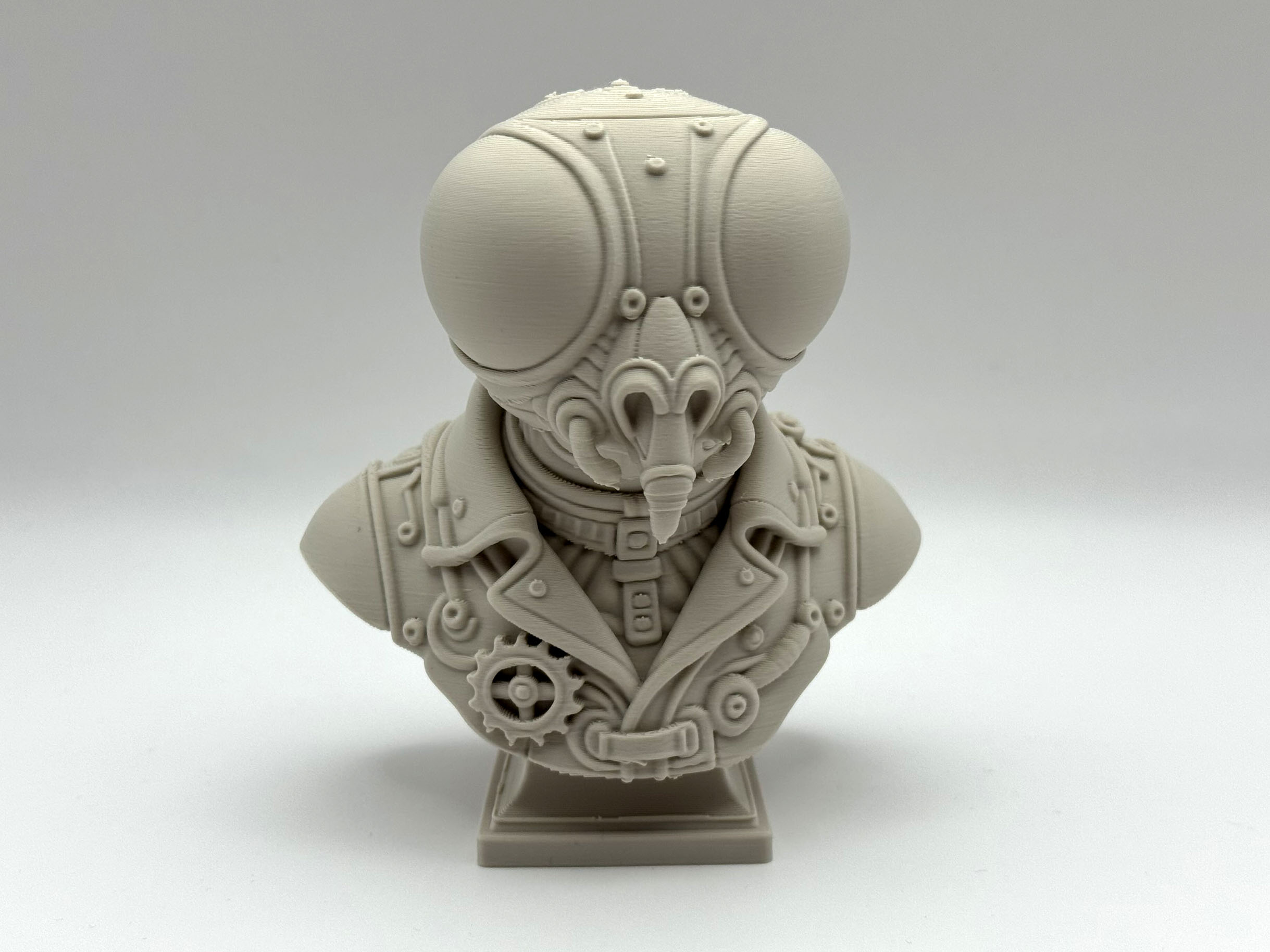 Steampunk Fly Bust