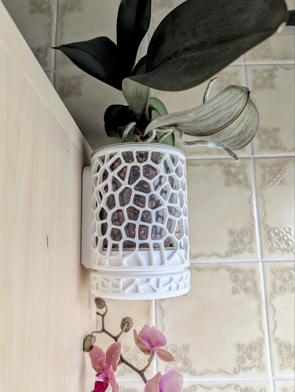 Orchid Wall Planter