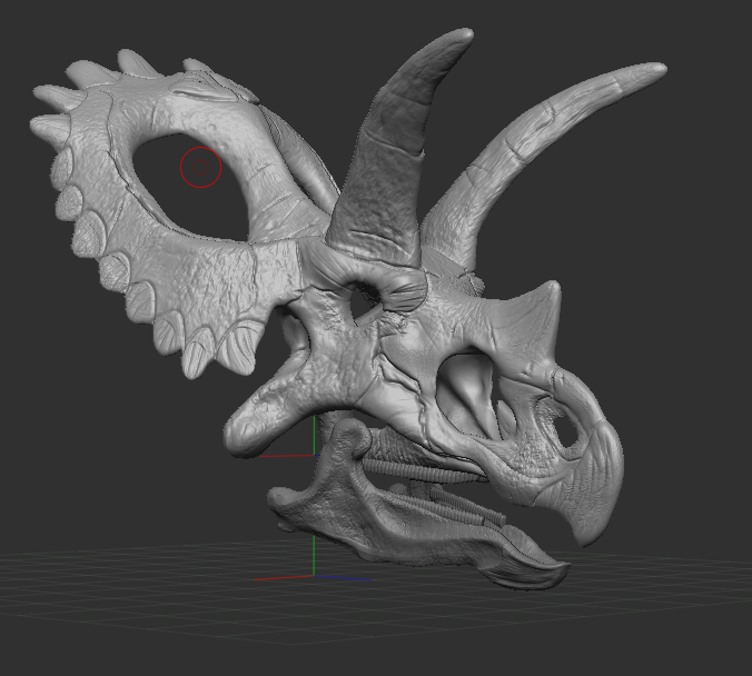 Anchiceratops Skull