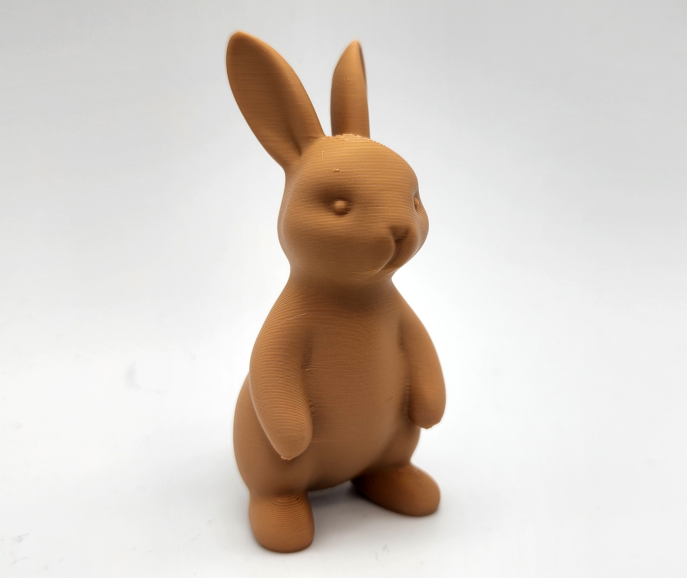 Standing Bunny