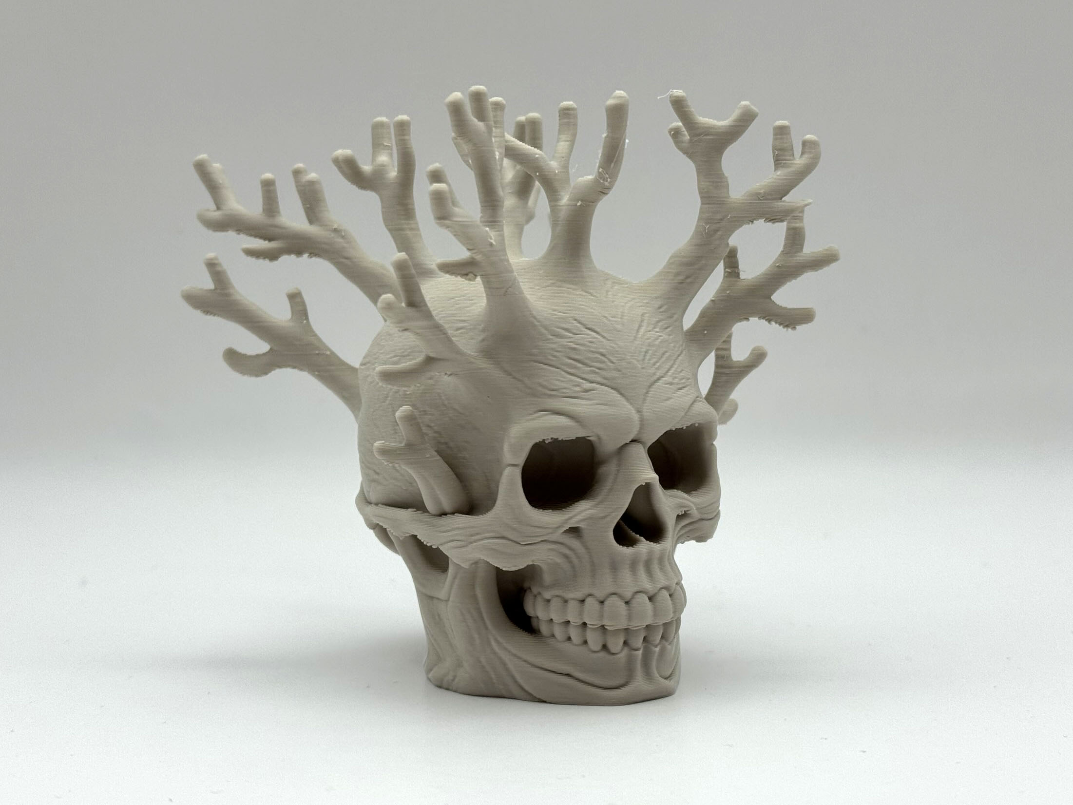 Branch Skull Decoration