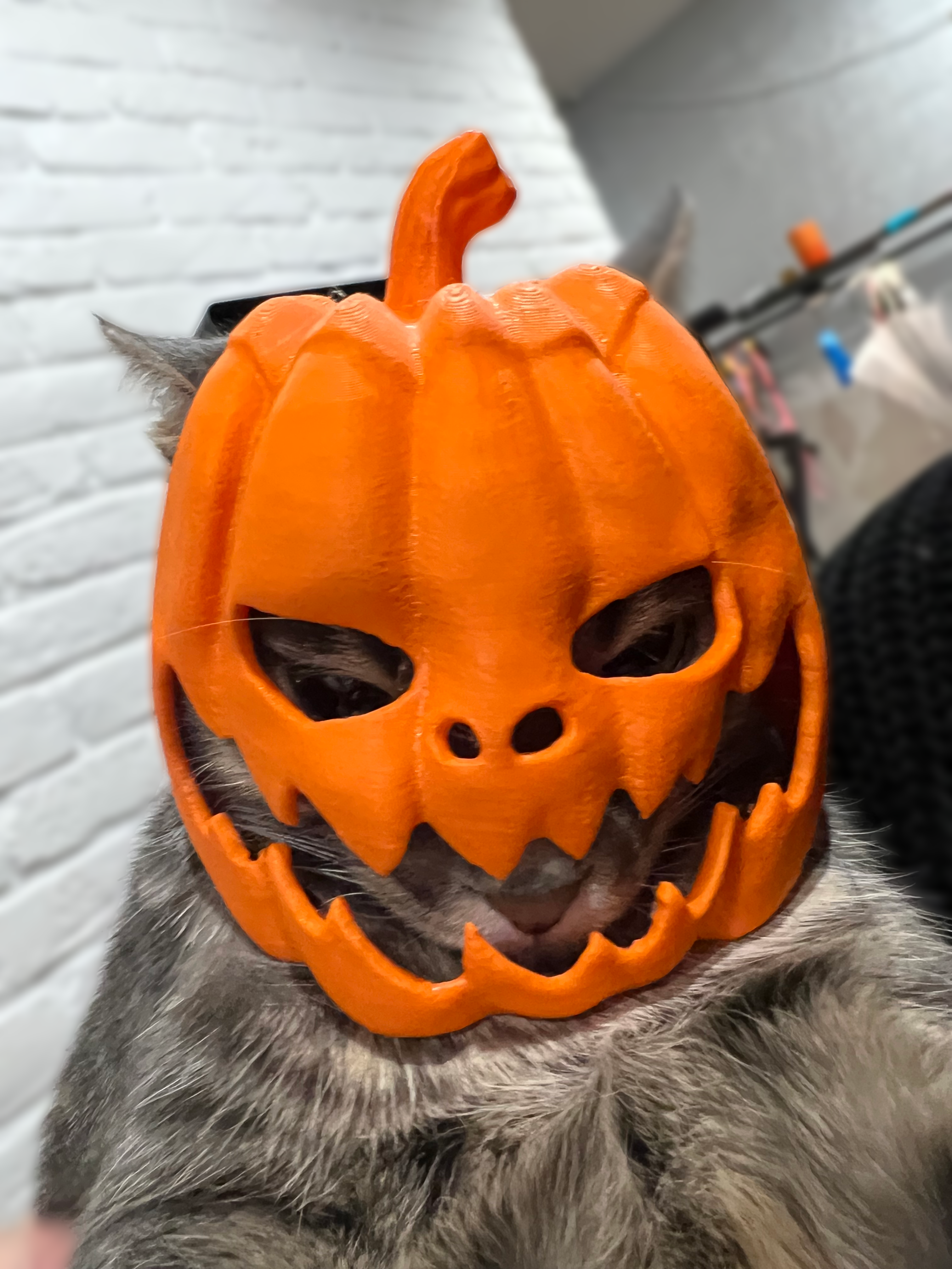Scary Halloween Pumpkin Cat mask