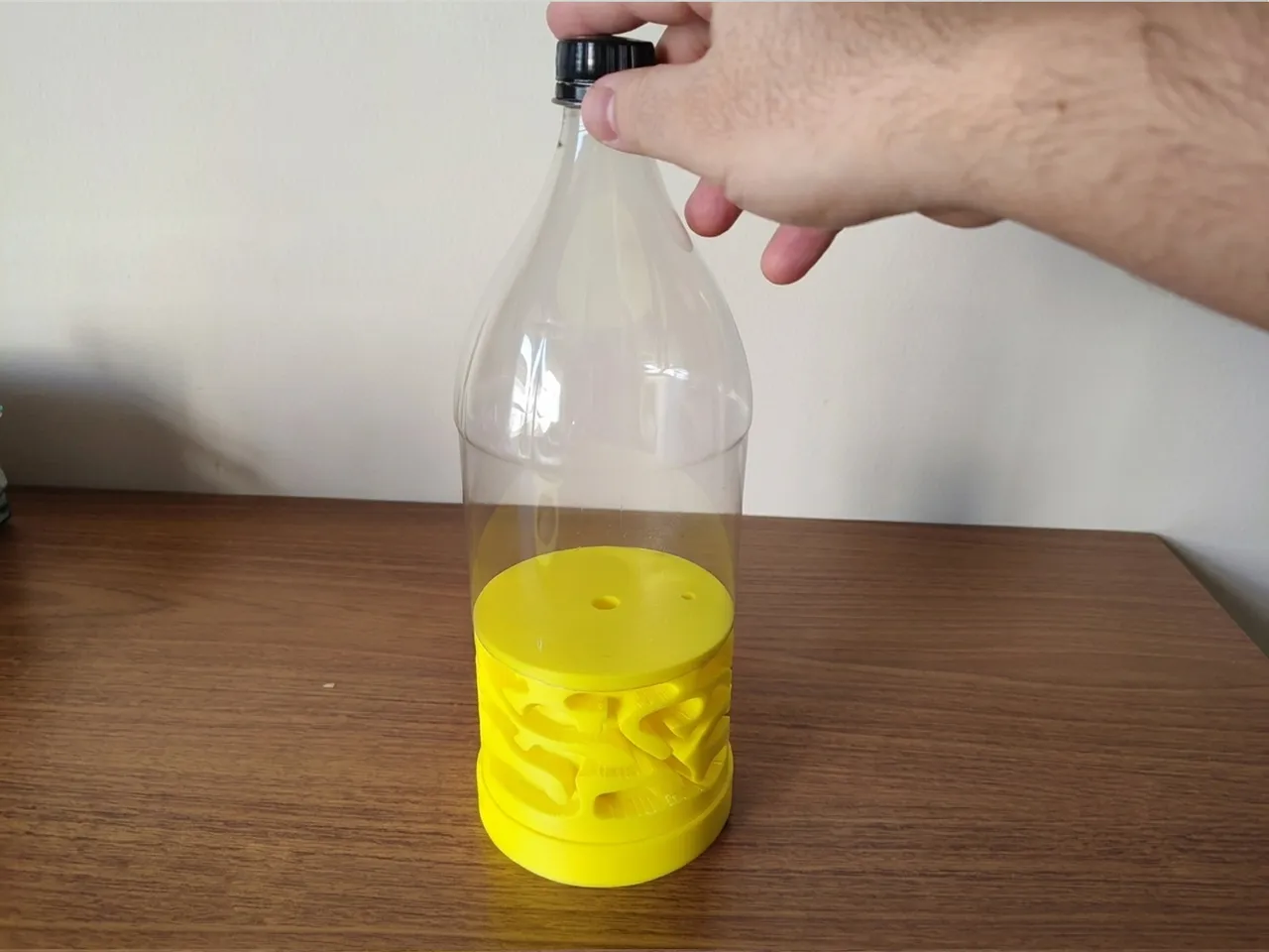 DIY PET Bottle Ant Farm - Educational Formicarium (Upcycled) by