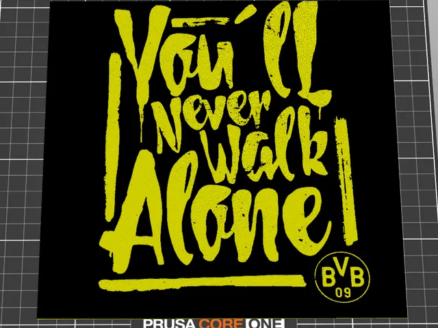 BVB you'll never walk alone!