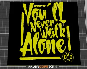 BVB you'll never walk alone!