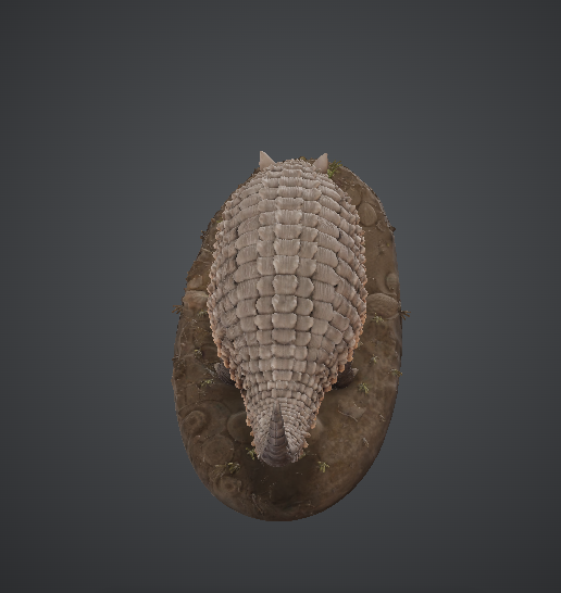 Realistic Armadillo Animal Model — thumbnail 3