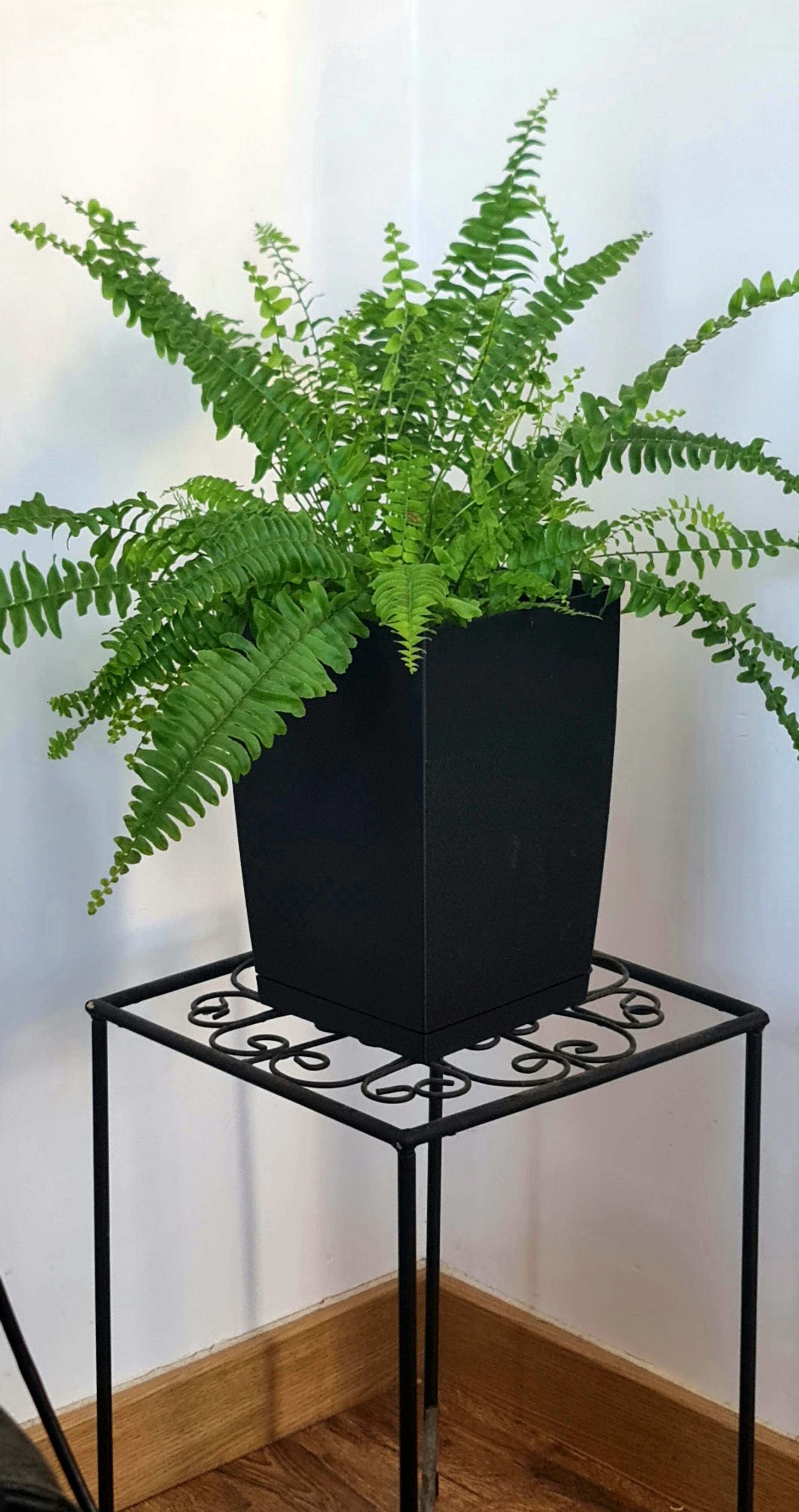 Modern Tall Planter