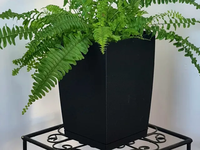 Modern Tall Planter
