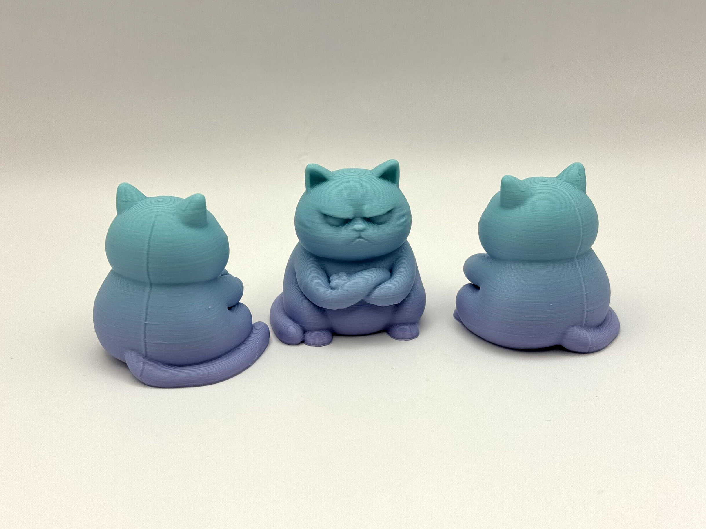 Grumpy Zen Cat — miniatura 2