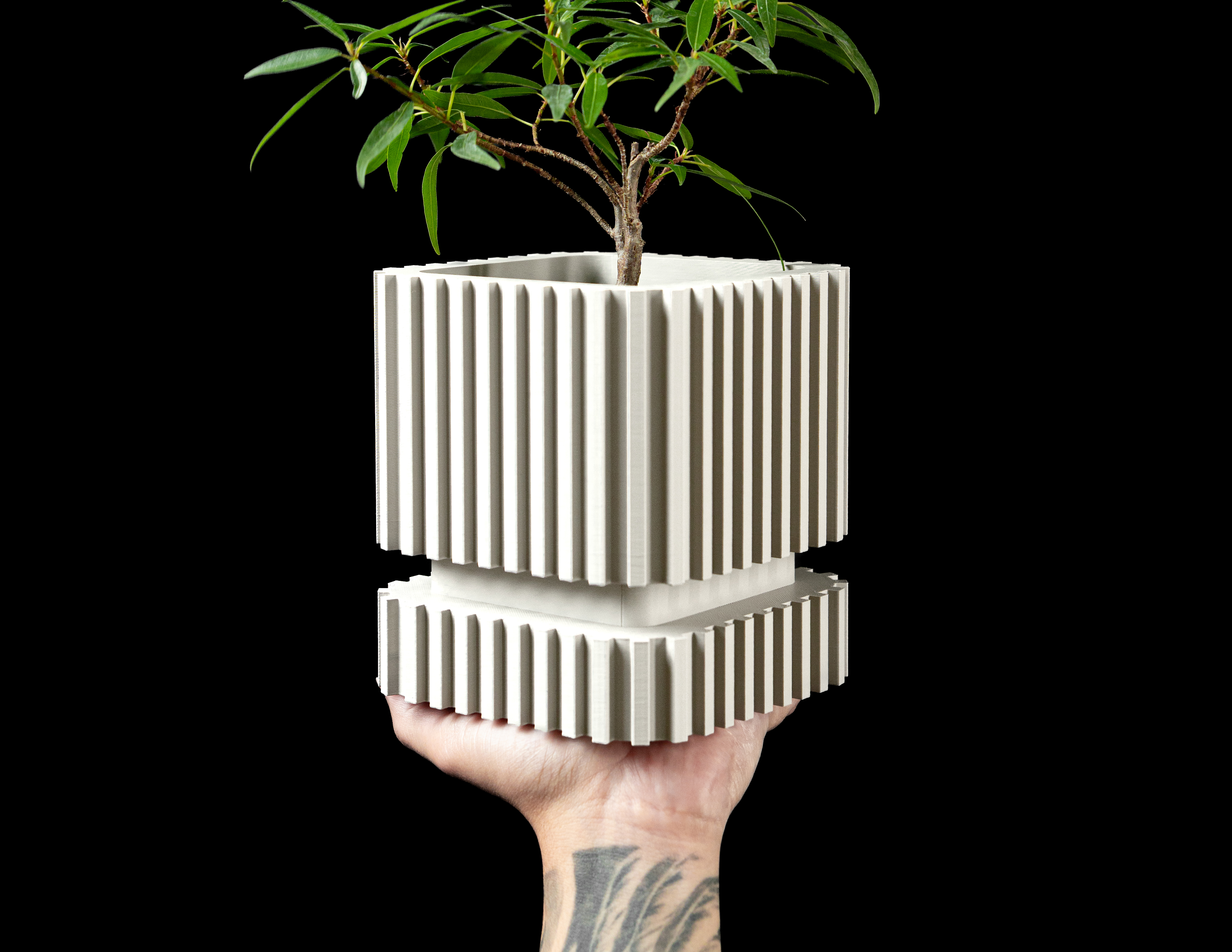 Stripes Planter Pot by MODERN MACHINE