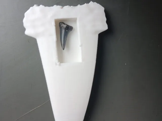 tigershark tooth