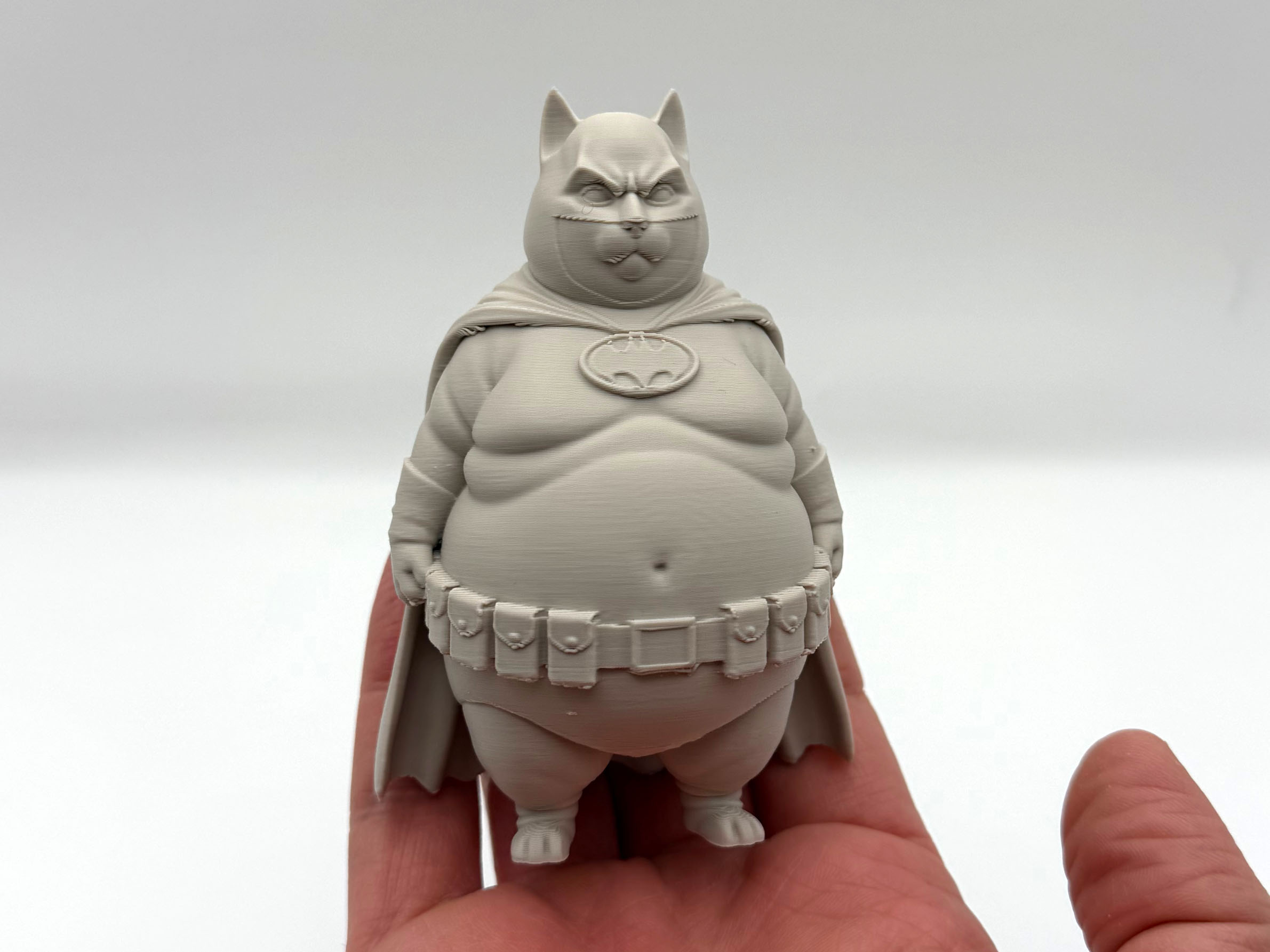 Chonky Bat Kitten