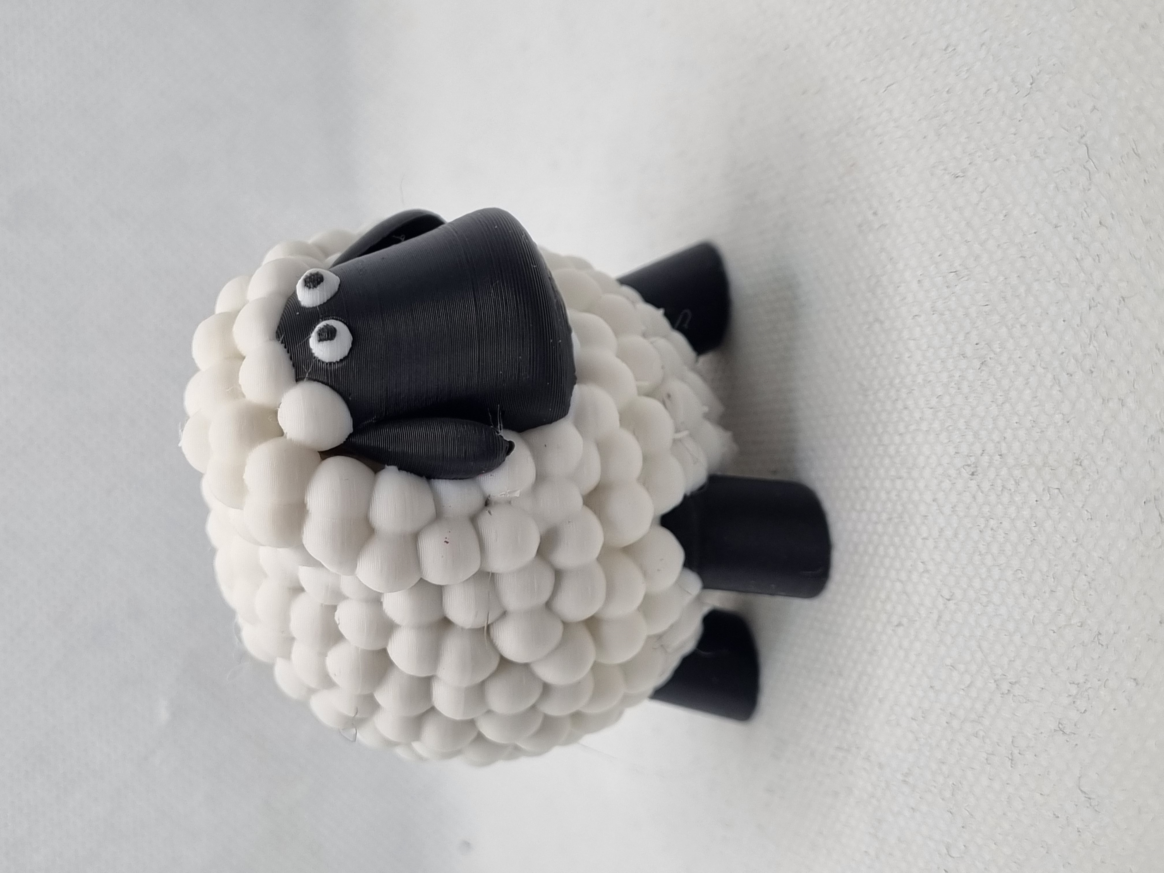 Nice Round Sheep