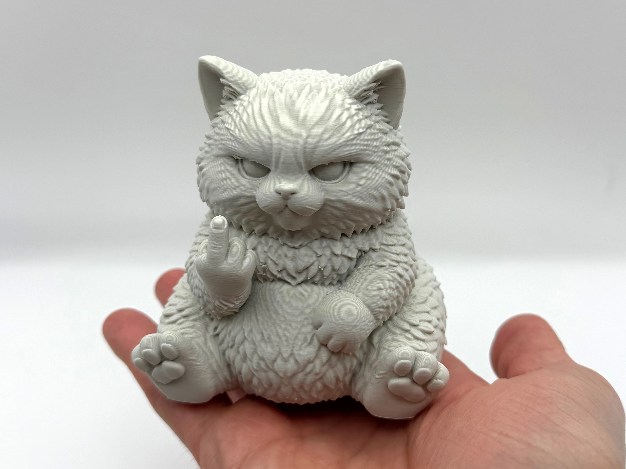 Grumpy Fluff Kitten