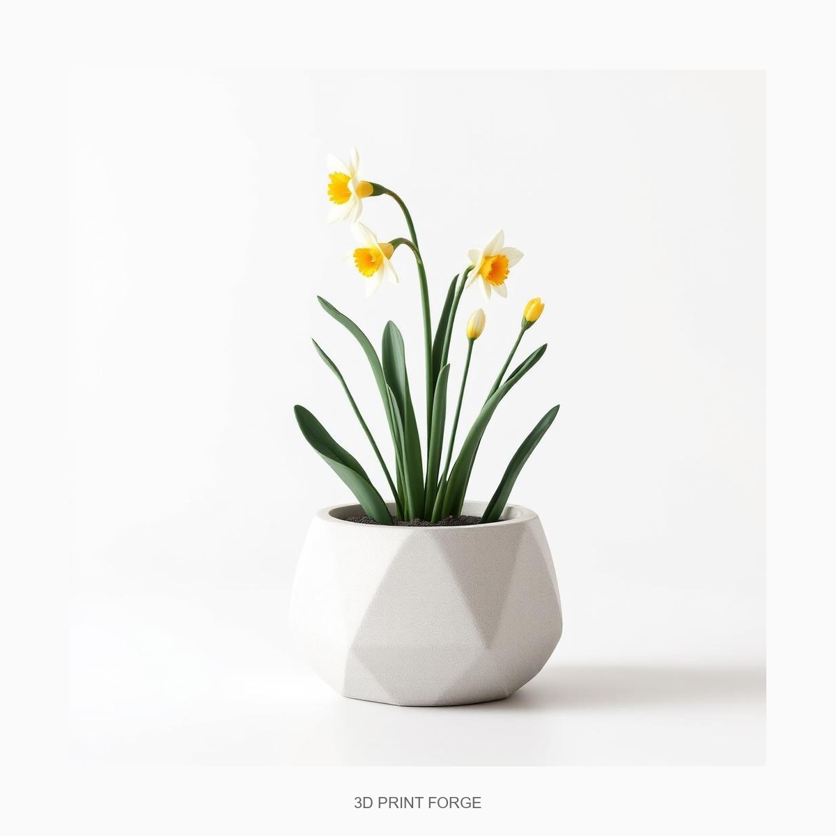 Daffodil Planter - 3D Printable STL File