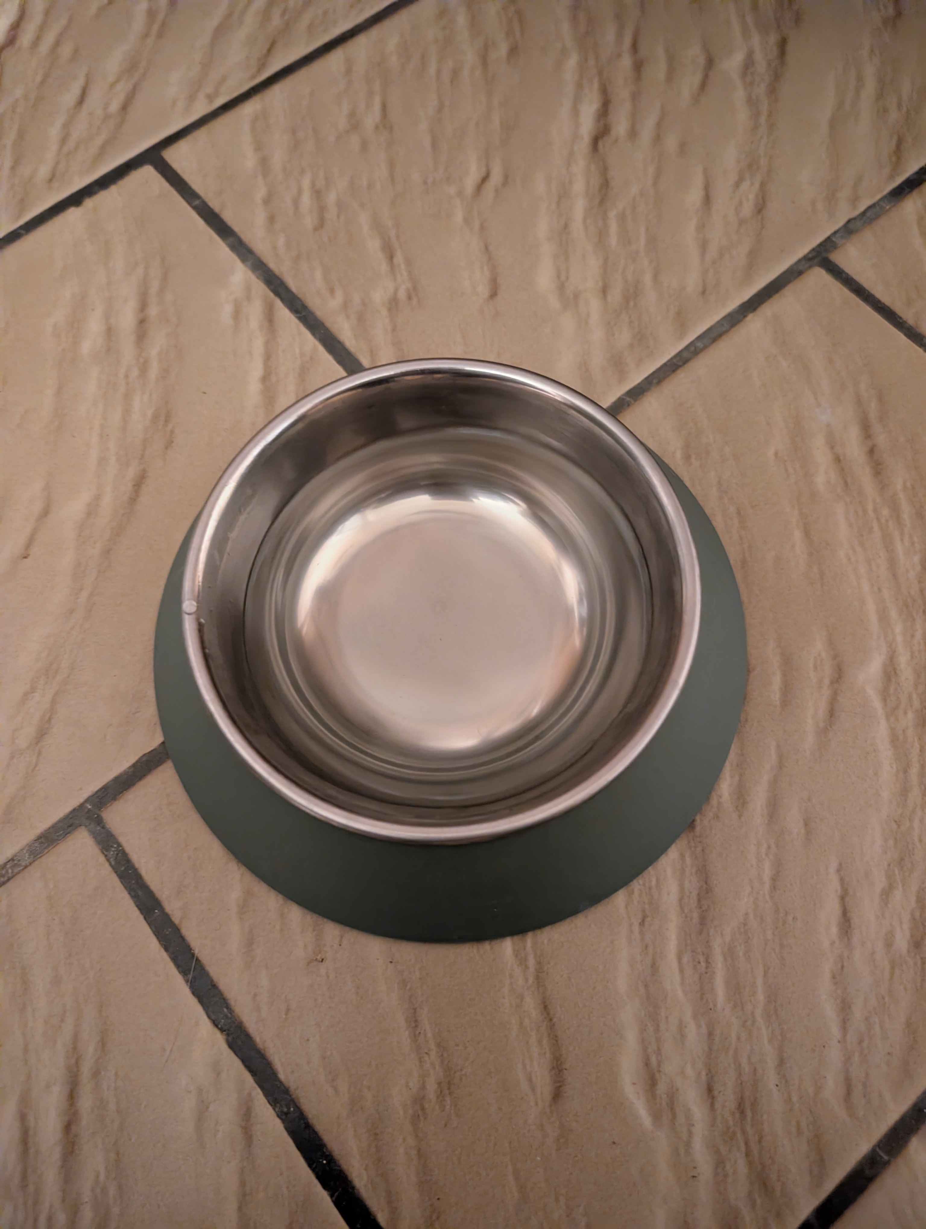 Cat Bowl Stand with TPU Anti-Slip Base