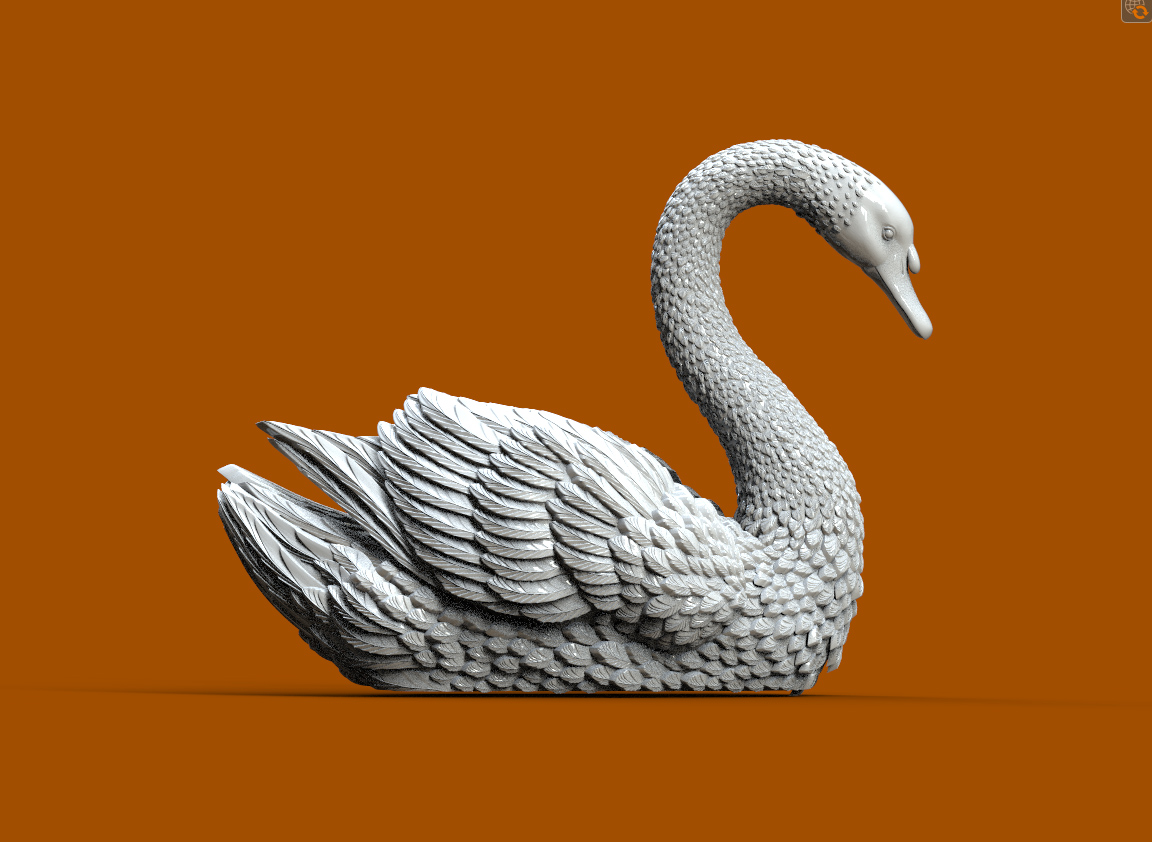 BIRD SWAN — thumbnail 8