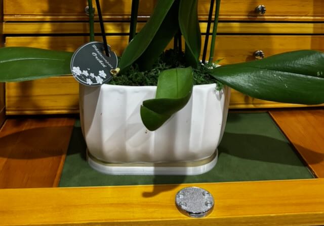 Oval / Oblong Plant Drip Tray - OpenSCAD