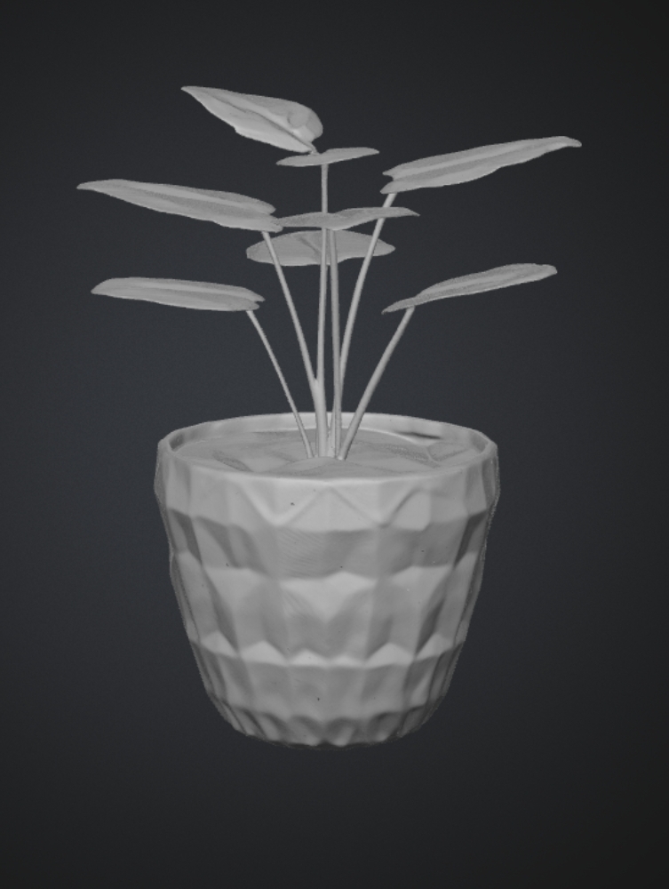 Creativ pot with plant