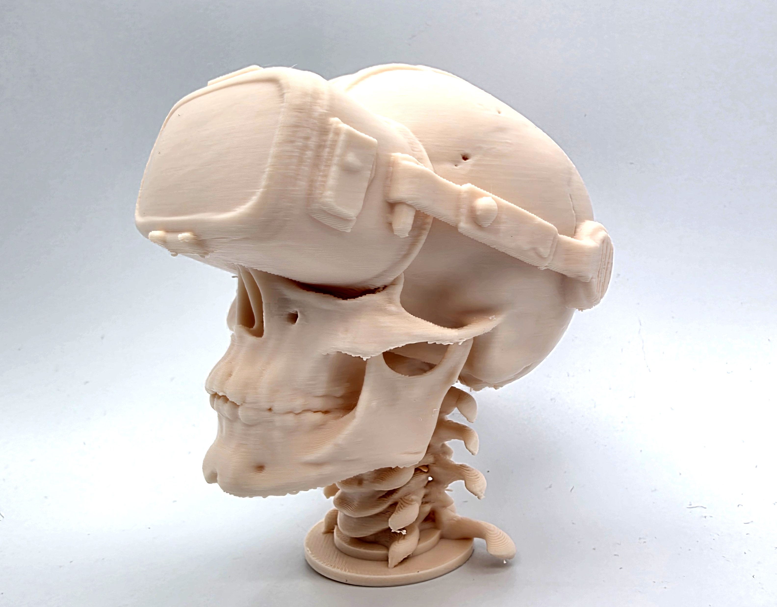 VR Skull