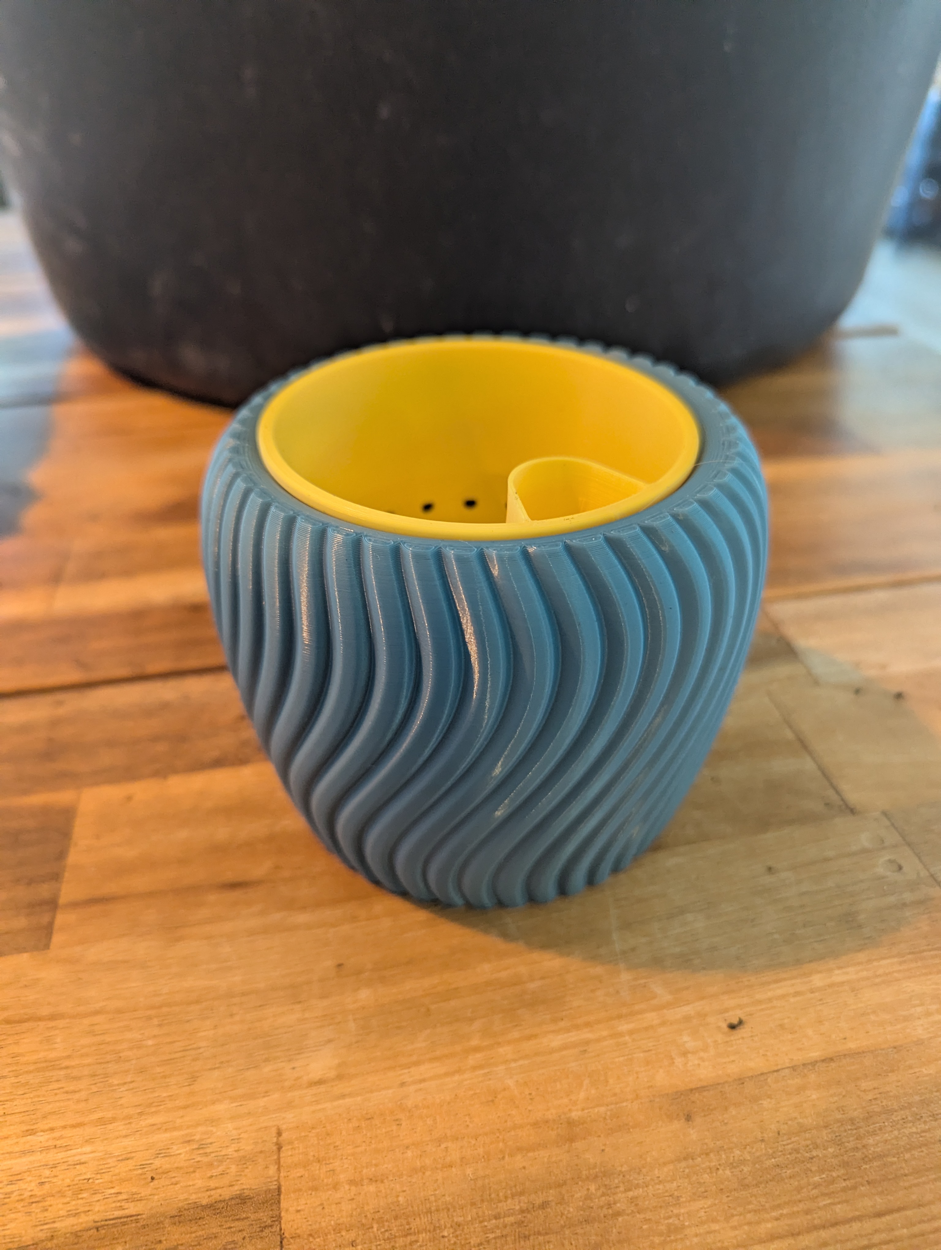 Alternative Pot for Self Watering Planter - Venus Fly Trap