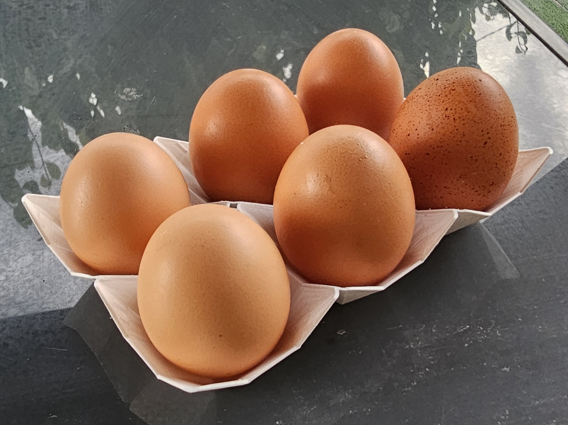 Simple egg tray