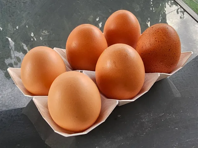 Simple egg tray