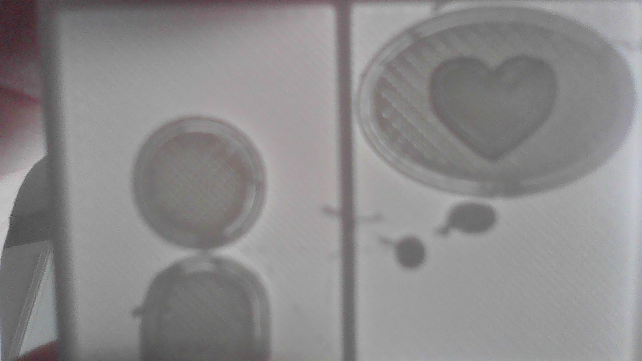 Love Window From Tomodachi Life