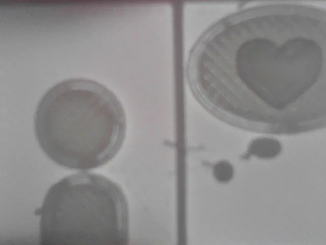 Love Window From Tomodachi Life