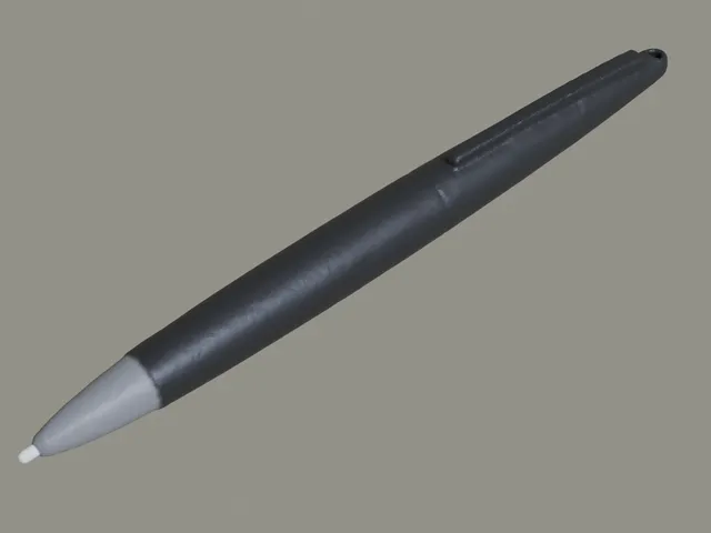 Nintendo DSI XL Stylus