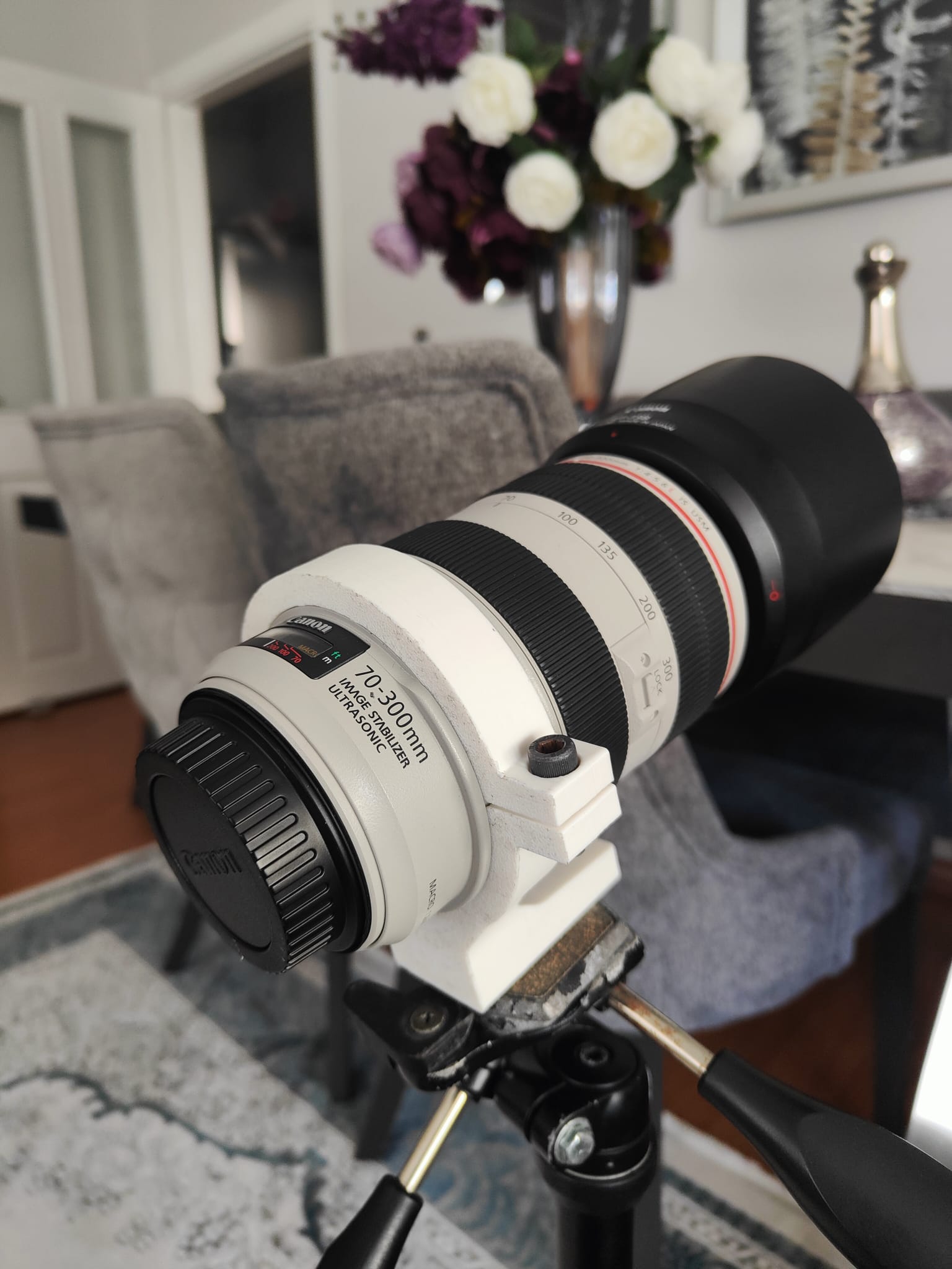 Canon Tripod Mount Ring C (WII) for EF 70-300mm f/4-5.6 L Lens