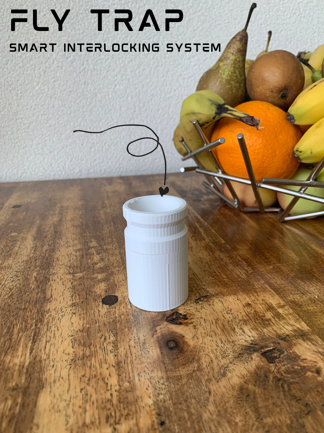 Fly Trap