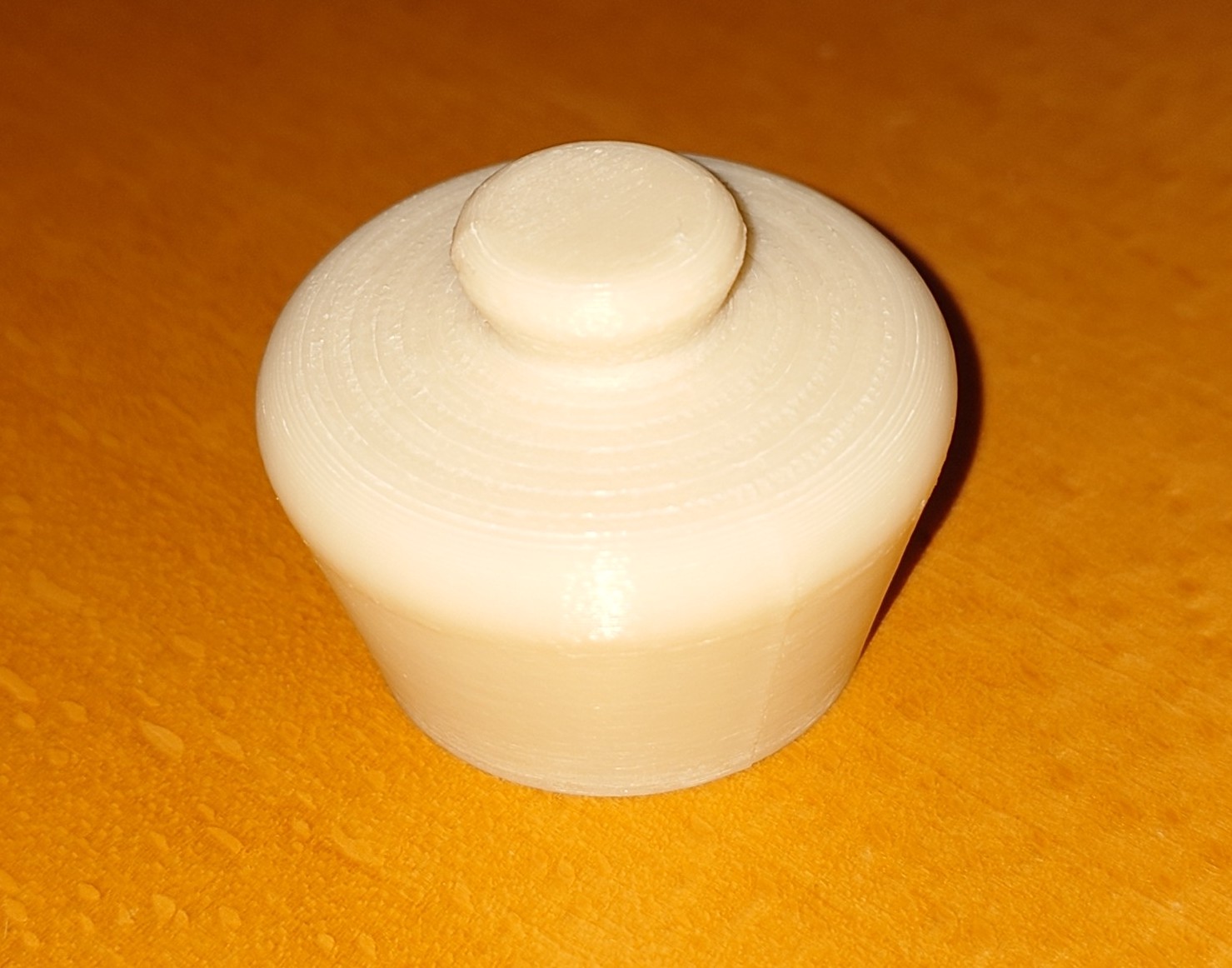 Sink Plug