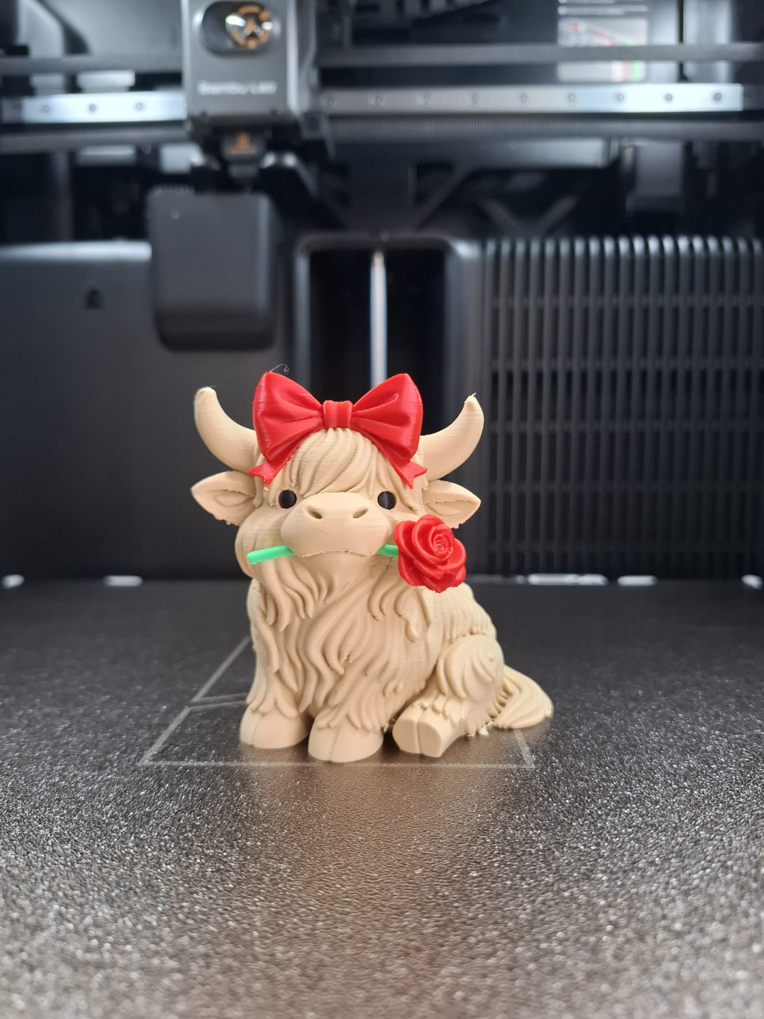 Valentine Highland Cow