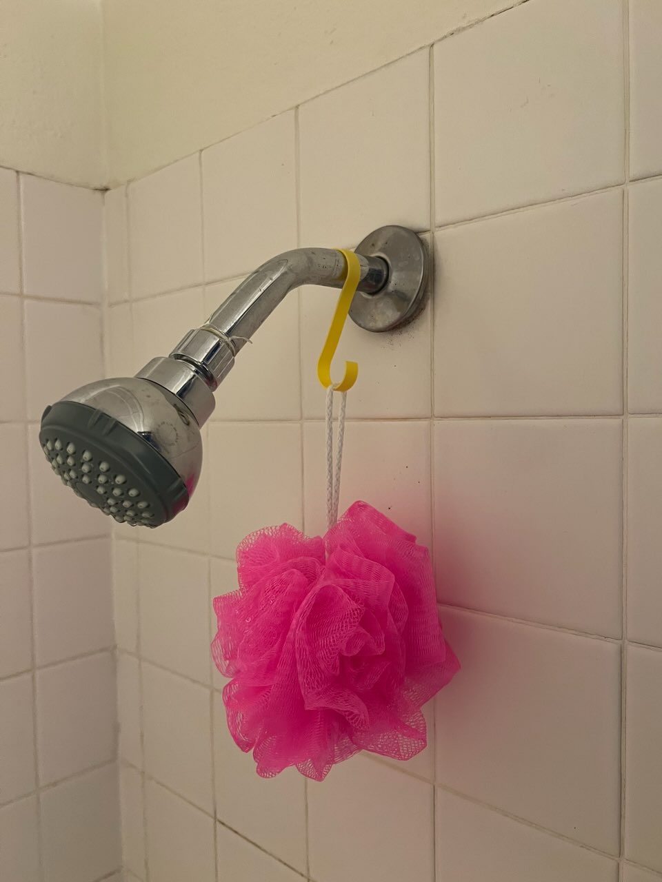 Minimal Shower Hook