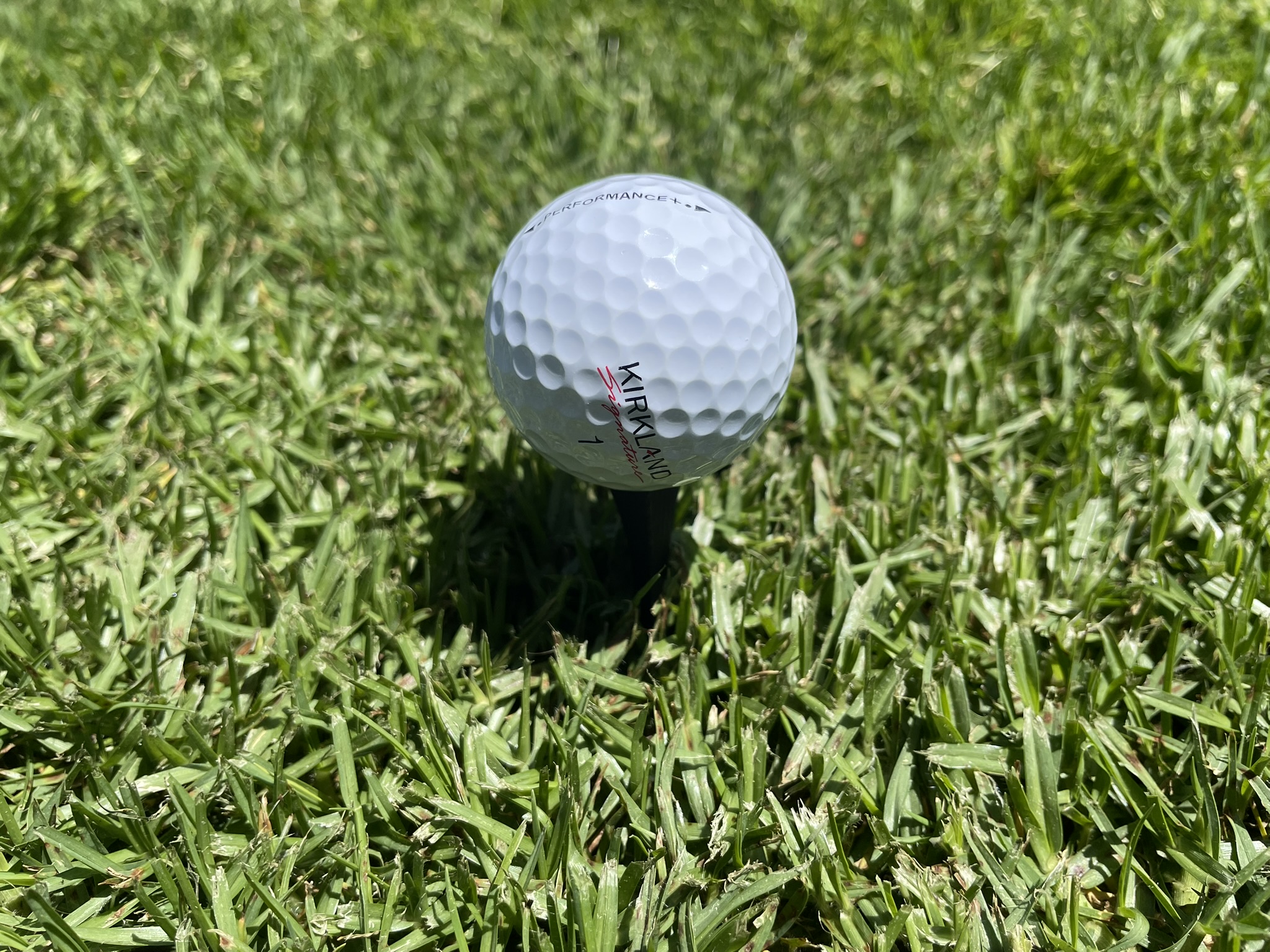 Miniatura 3 do modelo 3D Print Flat Golf Tee