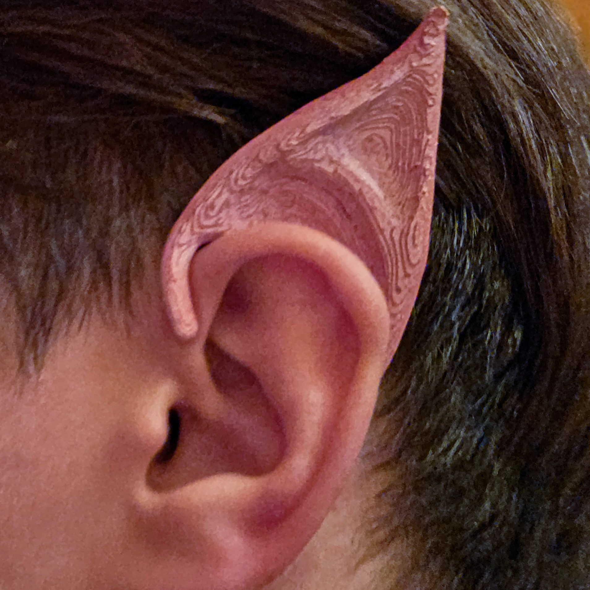 Miniatura 2 do modelo 3D Elf ears