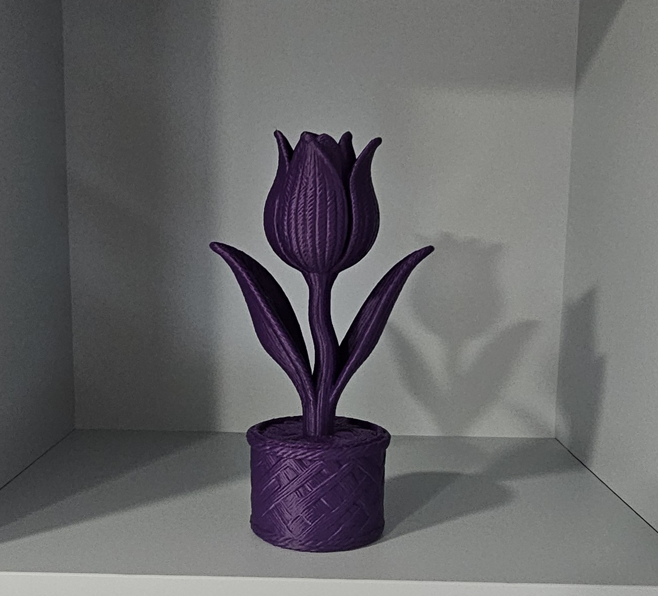 Knitted tulip