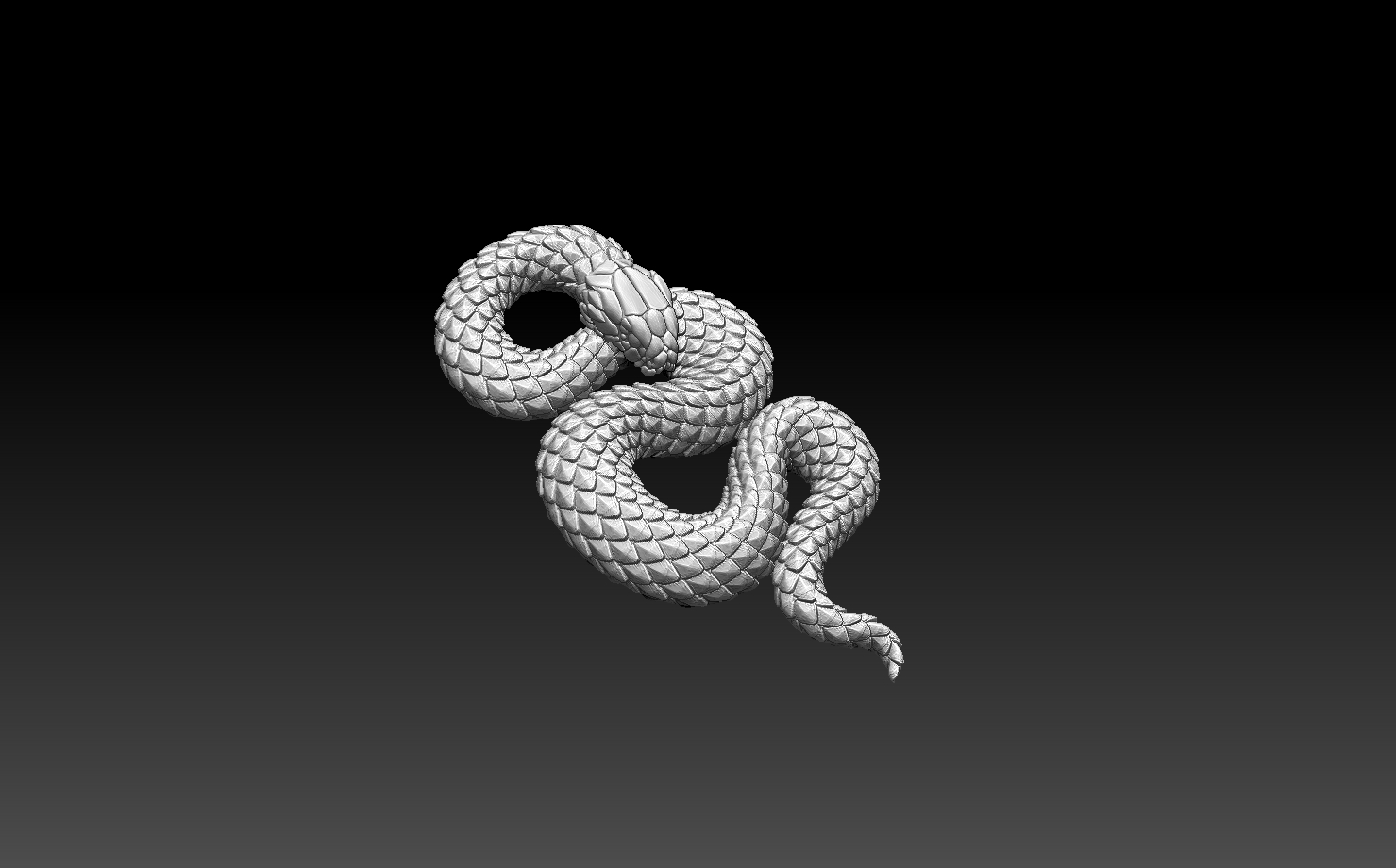 snake — thumbnail 4