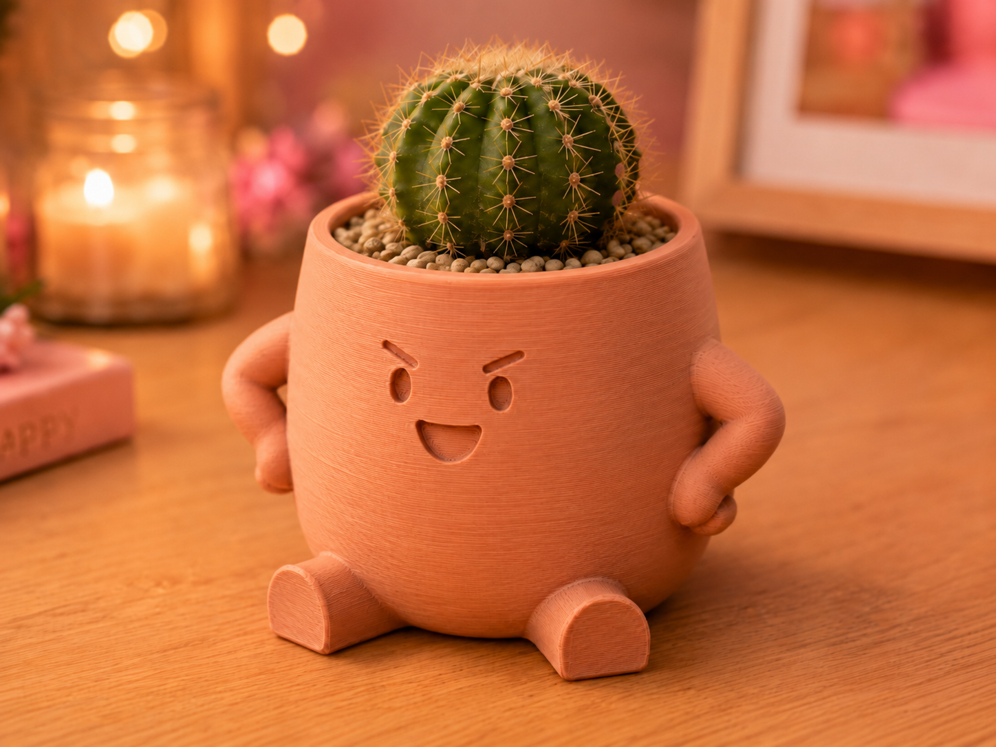 Grumps Cactus Pot - Cute Decor