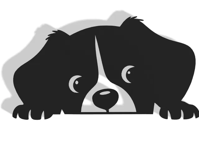 Dog Decor