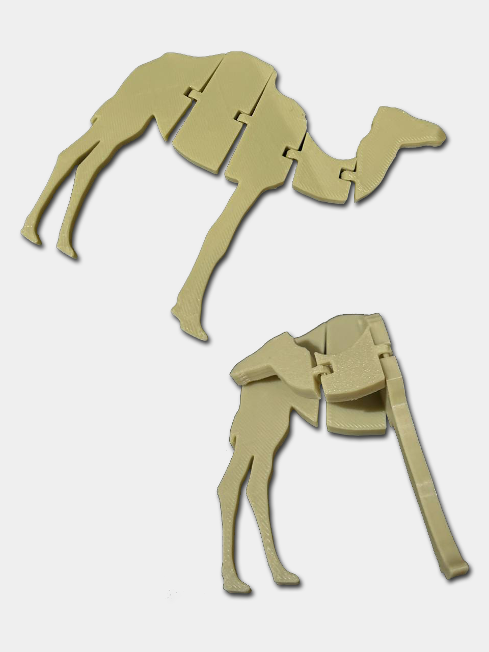 Flexi Camel