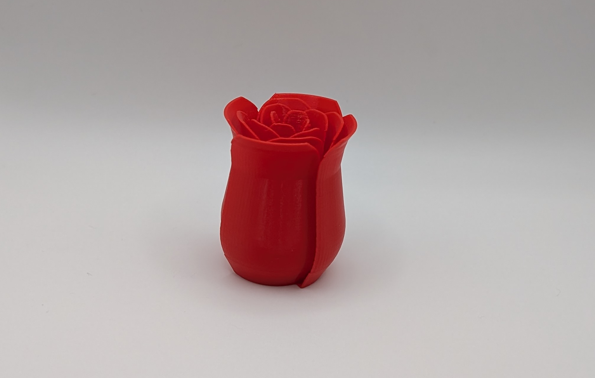 Simple Rose - v2